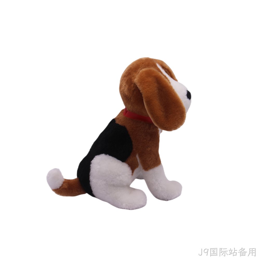 IMG_0510